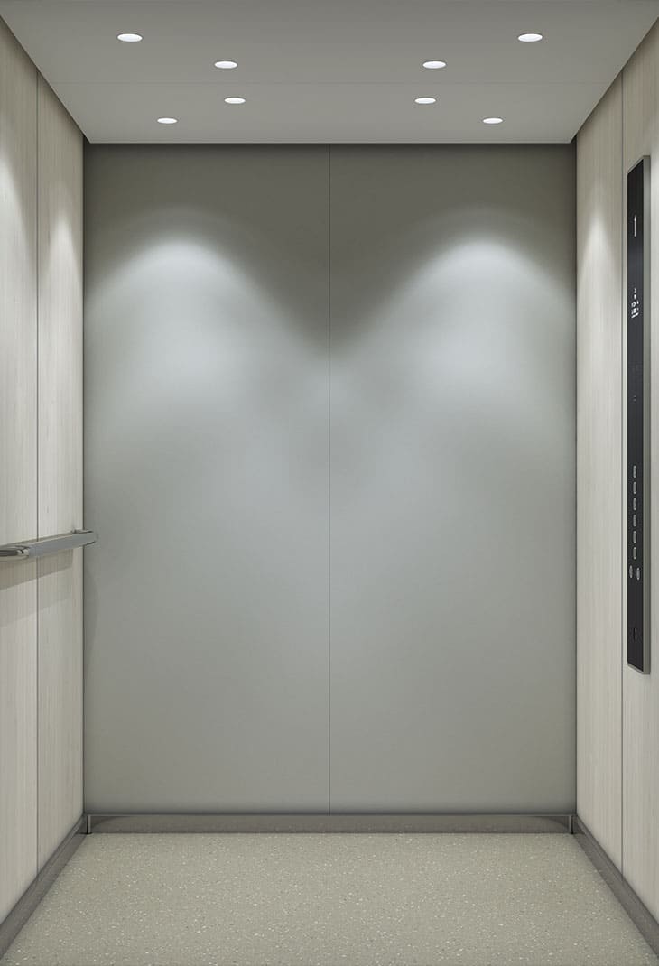 finition ascenseur cendre blanchie