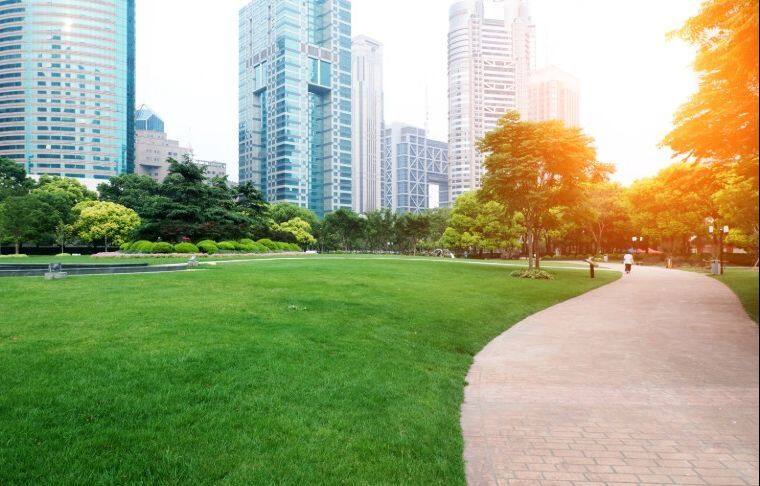 nature toit d'immeuble green building